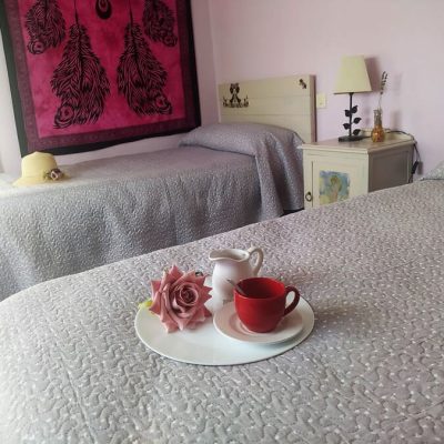 IMG_20210228_112449 m – Caridad nuÃ±ez