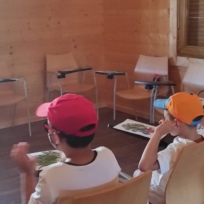 Screenshot_20231114-094508_Instagram – eduardo martin